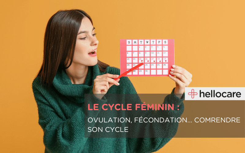 Comprendre le cycle féminin : ovulation, fécondation, menstruations