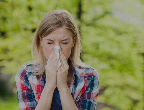 Allergie au pollen : quelle est la situation actuelle en France ?
