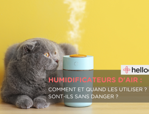 Humidificateur d’air, déshumidificateur… Pourquoi et quand en mettre ?